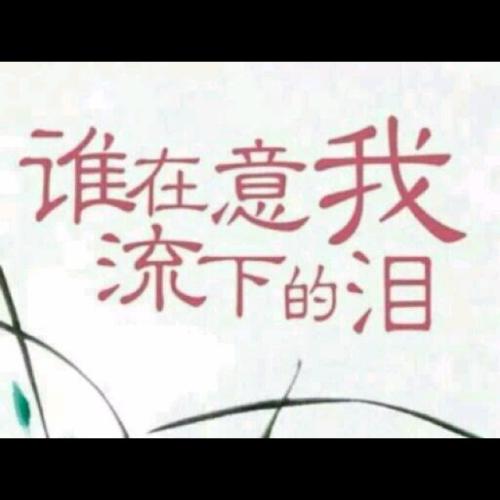 谁在意我流下的泪 蒋雪儿mp3