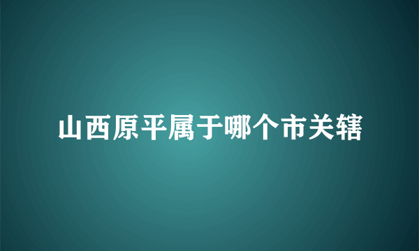 山西原平属于哪个市关辖