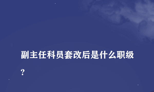 
副主任科员套改后是什么职级?
