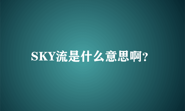 SKY流是什么意思啊？