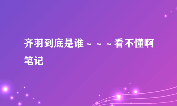 齐羽到底是谁～～～看不懂啊笔记