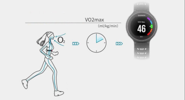 vo2max是什么