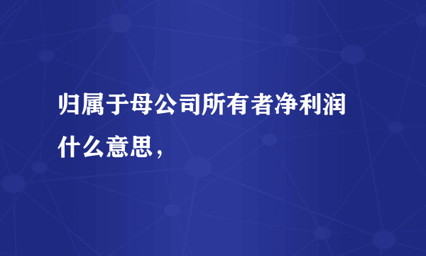 归属于母公司所有者净利润 什么意思，