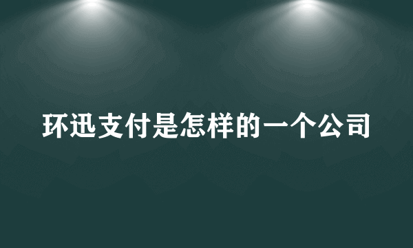 环迅支付是怎样的一个公司