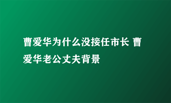 曹爱华为什么没接任市长 曹爱华老公丈夫背景