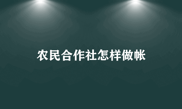 农民合作社怎样做帐