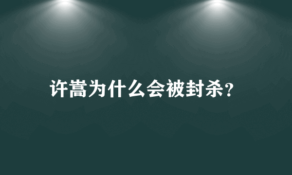 许嵩为什么会被封杀？