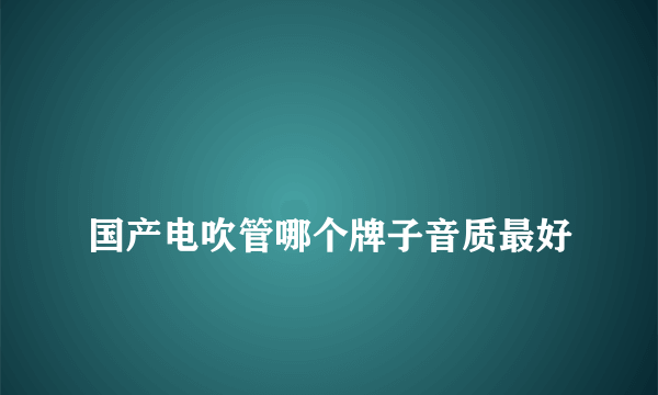 
国产电吹管哪个牌子音质最好
