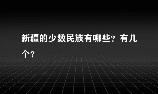 新疆的少数民族有哪些？有几个？