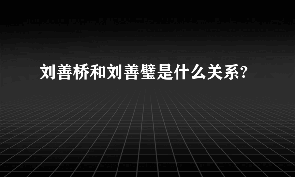 刘善桥和刘善璧是什么关系?