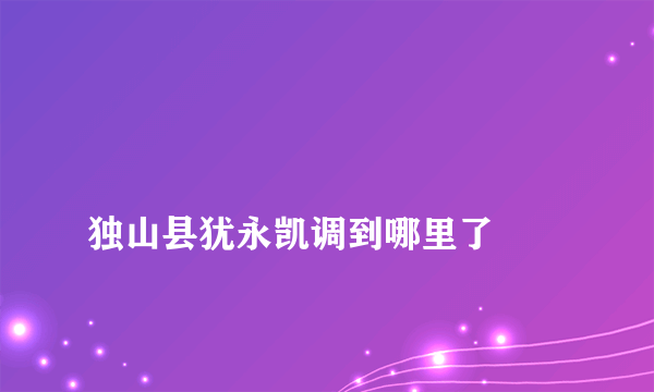 
独山县犹永凯调到哪里了
