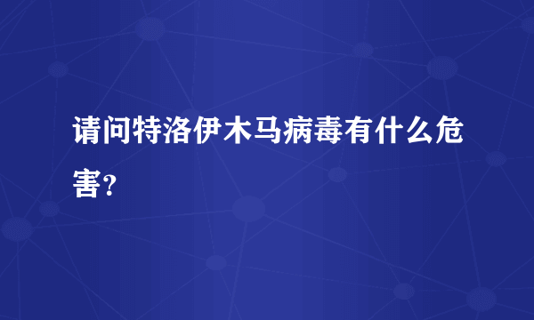 请问特洛伊木马病毒有什么危害？