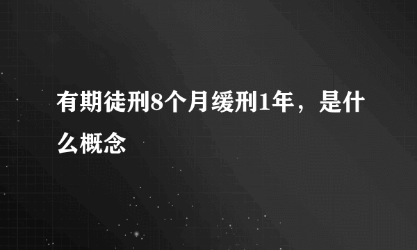 有期徒刑8个月缓刑1年，是什么概念