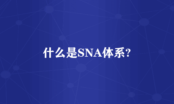 什么是SNA体系?