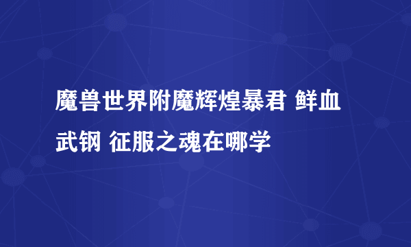 魔兽世界附魔辉煌暴君 鲜血武钢 征服之魂在哪学