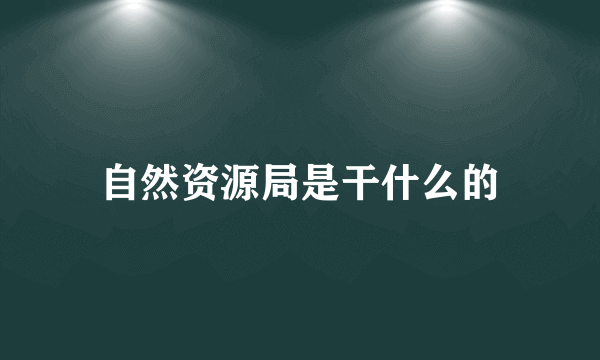 自然资源局是干什么的