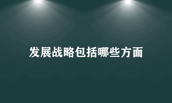 发展战略包括哪些方面