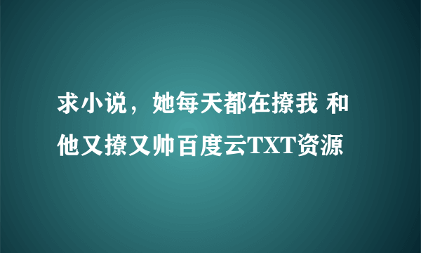 求小说，她每天都在撩我 和 他又撩又帅百度云TXT资源