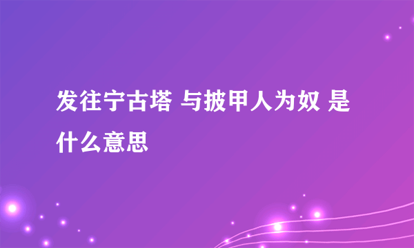 发往宁古塔 与披甲人为奴 是什么意思