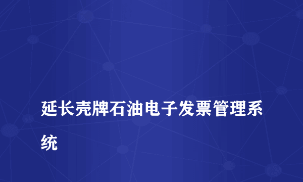 
延长壳牌石油电子发票管理系统
