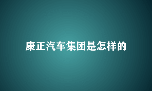 康正汽车集团是怎样的