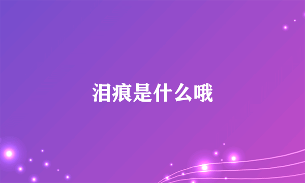 泪痕是什么哦