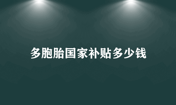 多胞胎国家补贴多少钱