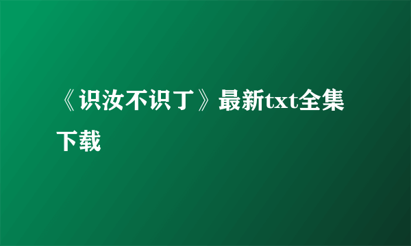 《识汝不识丁》最新txt全集下载