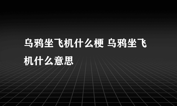 乌鸦坐飞机什么梗 乌鸦坐飞机什么意思