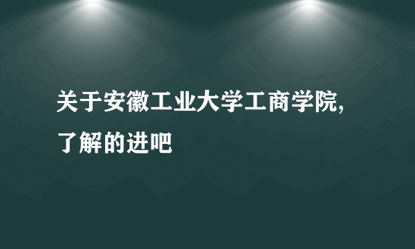 关于安徽工业大学工商学院,了解的进吧