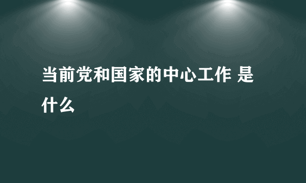 当前党和国家的中心工作 是什么