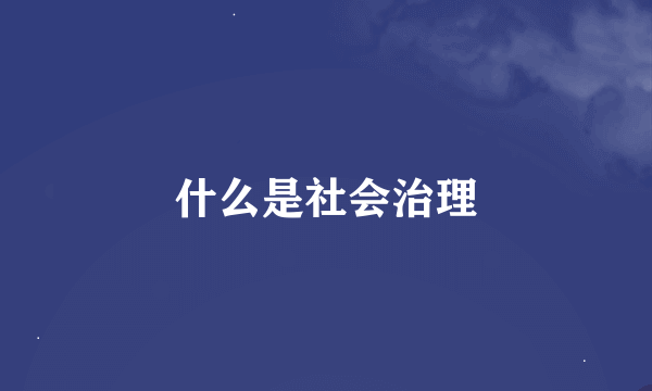 什么是社会治理