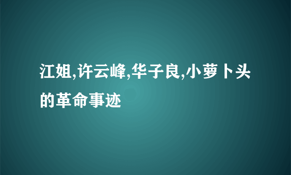 江姐,许云峰,华子良,小萝卜头的革命事迹