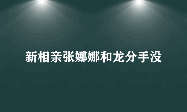 新相亲张娜娜和龙分手没