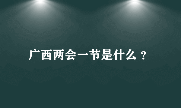 广西两会一节是什么 ？