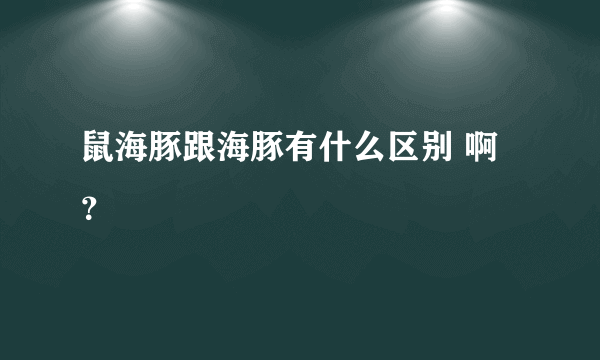 鼠海豚跟海豚有什么区别 啊？