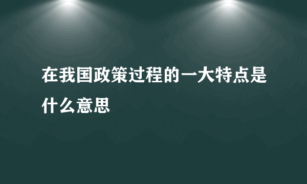 在我国政策过程的一大特点是什么意思