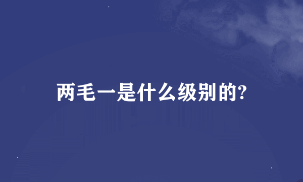 两毛一是什么级别的?