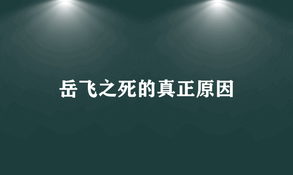 岳飞之死的真正原因