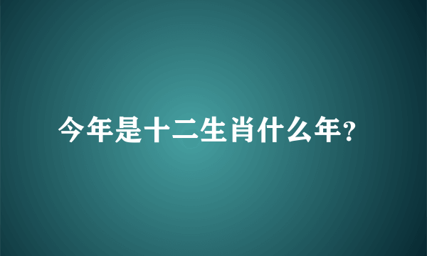 今年是十二生肖什么年？