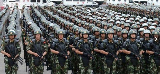 武警属于什么兵种，谢谢