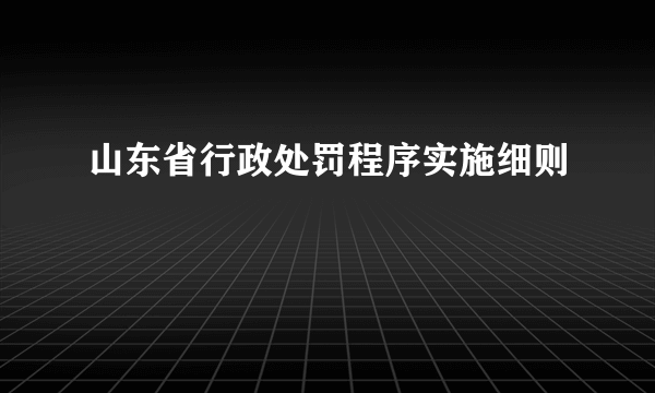 山东省行政处罚程序实施细则