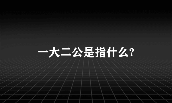 一大二公是指什么?