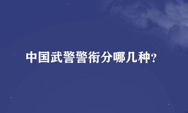 中国武警警衔分哪几种？