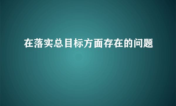 在落实总目标方面存在的问题