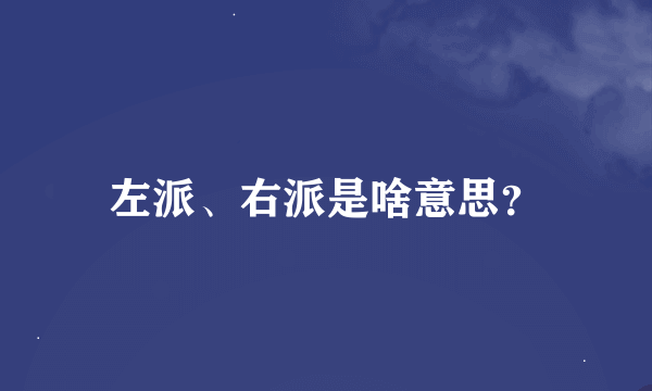 左派、右派是啥意思？