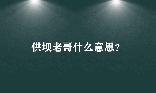 供坝老哥什么意思？