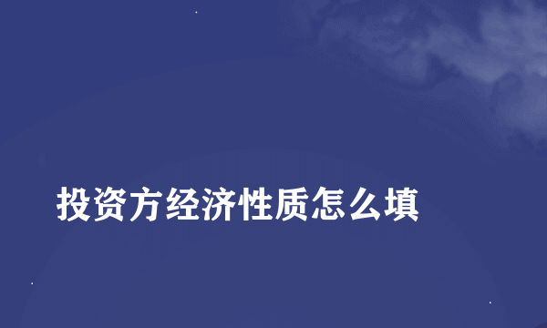 
投资方经济性质怎么填
