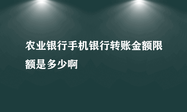 农业银行手机银行转账金额限额是多少啊