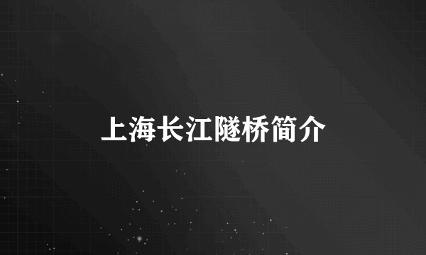 上海长江隧桥简介